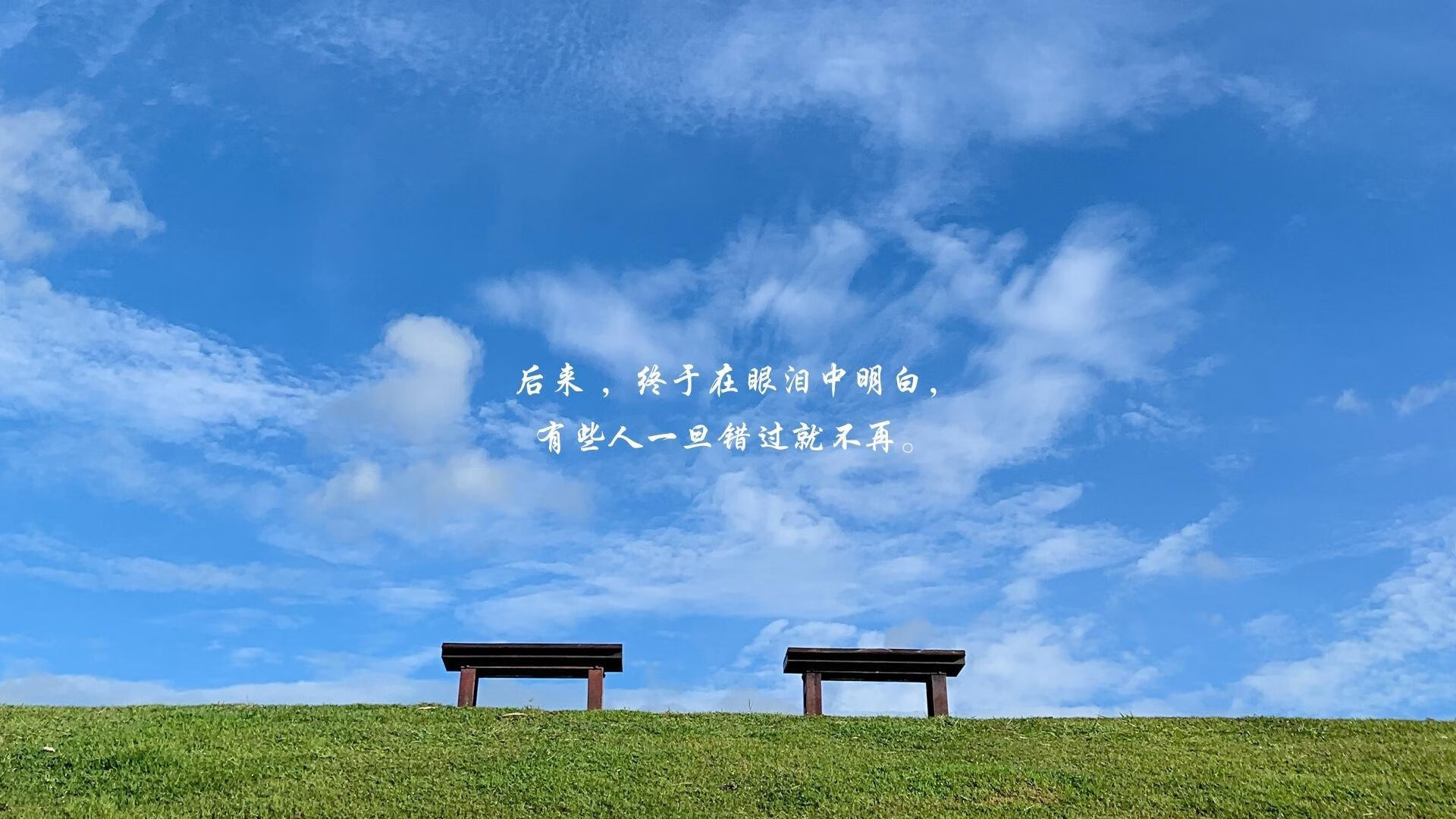 “飘逸漂移:弯道飞舞的速度艺术”,漂移入弯教学