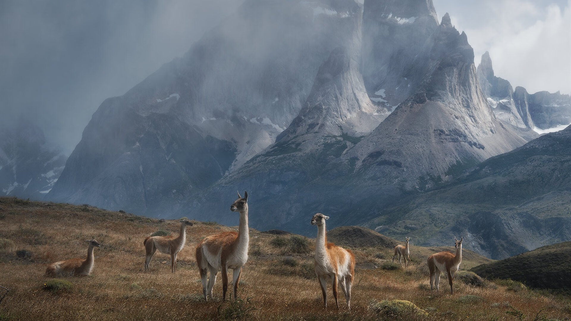 《绝地求生》全球邀请赛与《堡垒之夜》世界杯的激烈竞争,绝地求生全球联赛
