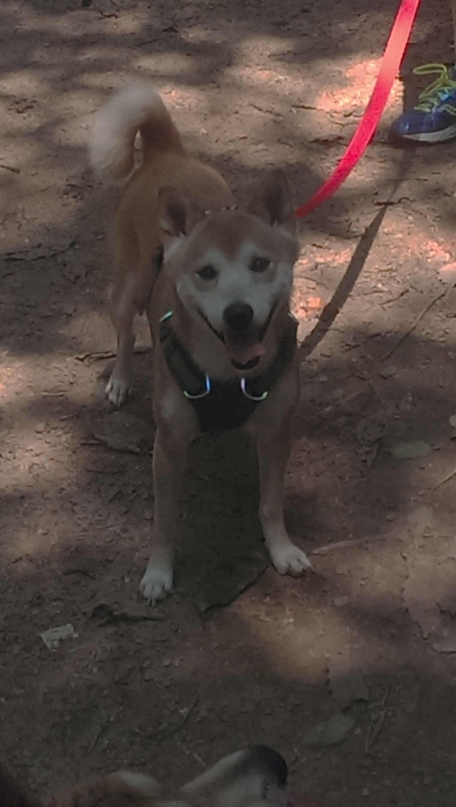 史上最激烈“夺冠争夺战”,现场回顾令人热血沸腾,争夺冠军