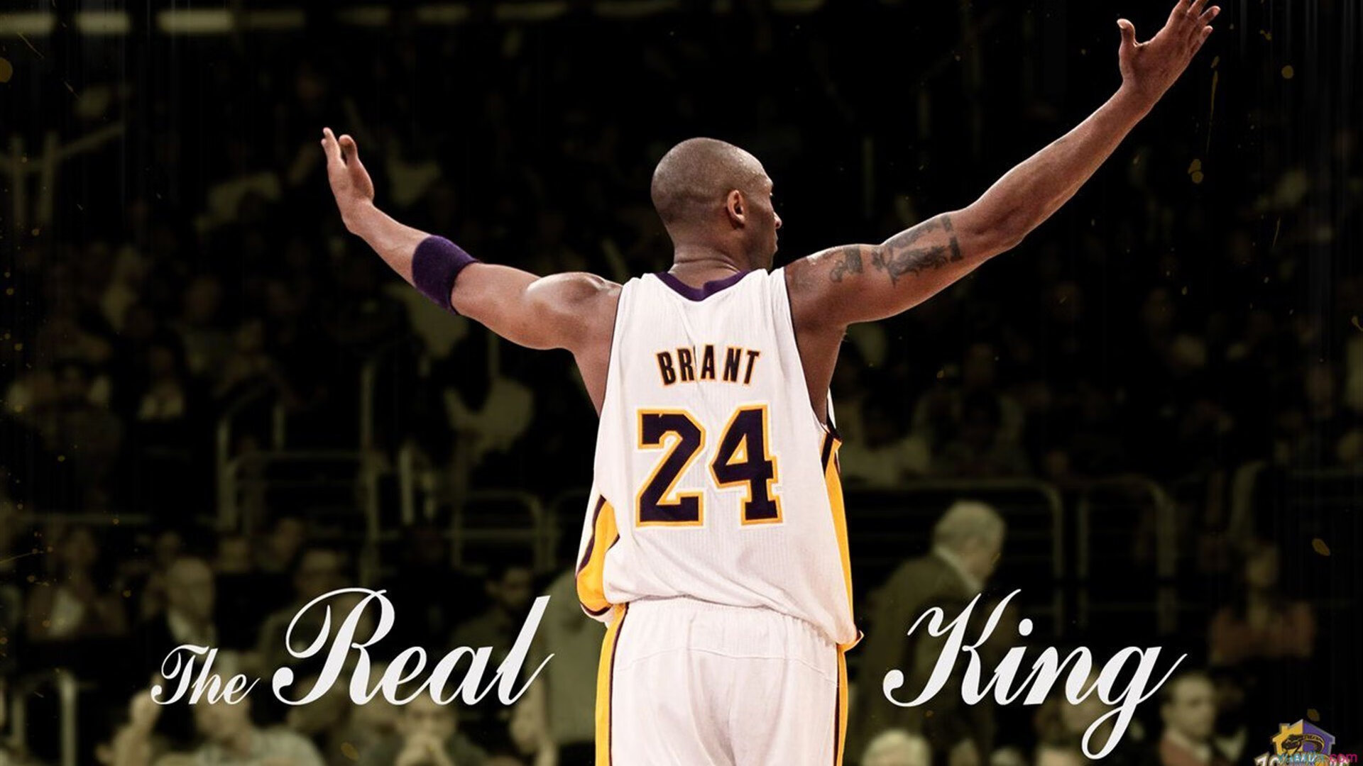 【冠军养成】马克·塞尔比如何打出稳定的比赛节奏？，马克塞尔比排名赛冠军