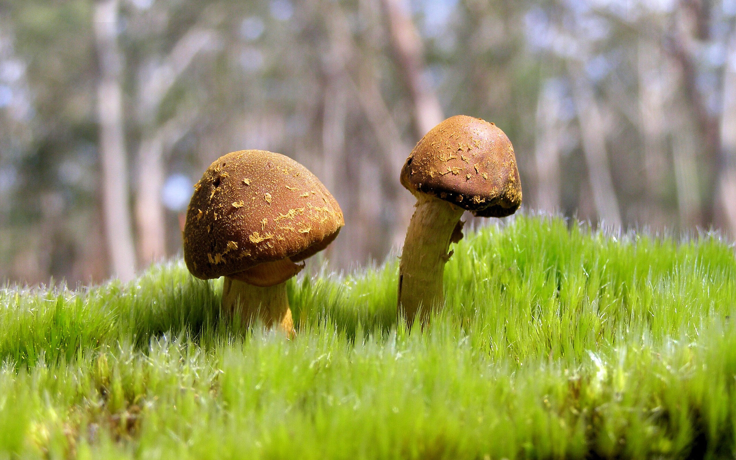 上海国际篮球青年赛吸引多国青年队参赛，2021上海青少年篮球锦标赛