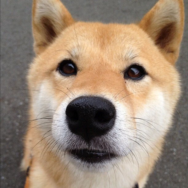 主场作战压力大?法国球员回应争议,法国队客场