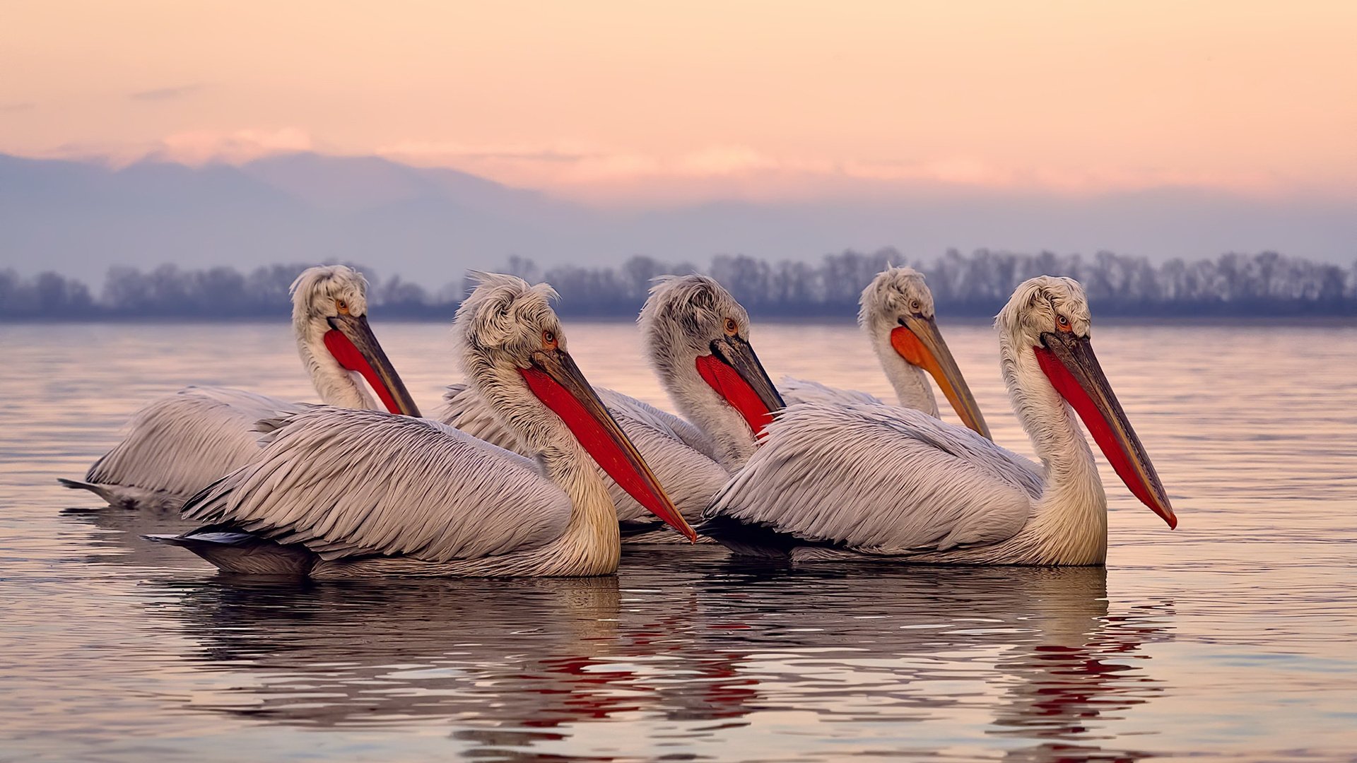 依托互联网平台,打造线上足球社区,线下足球