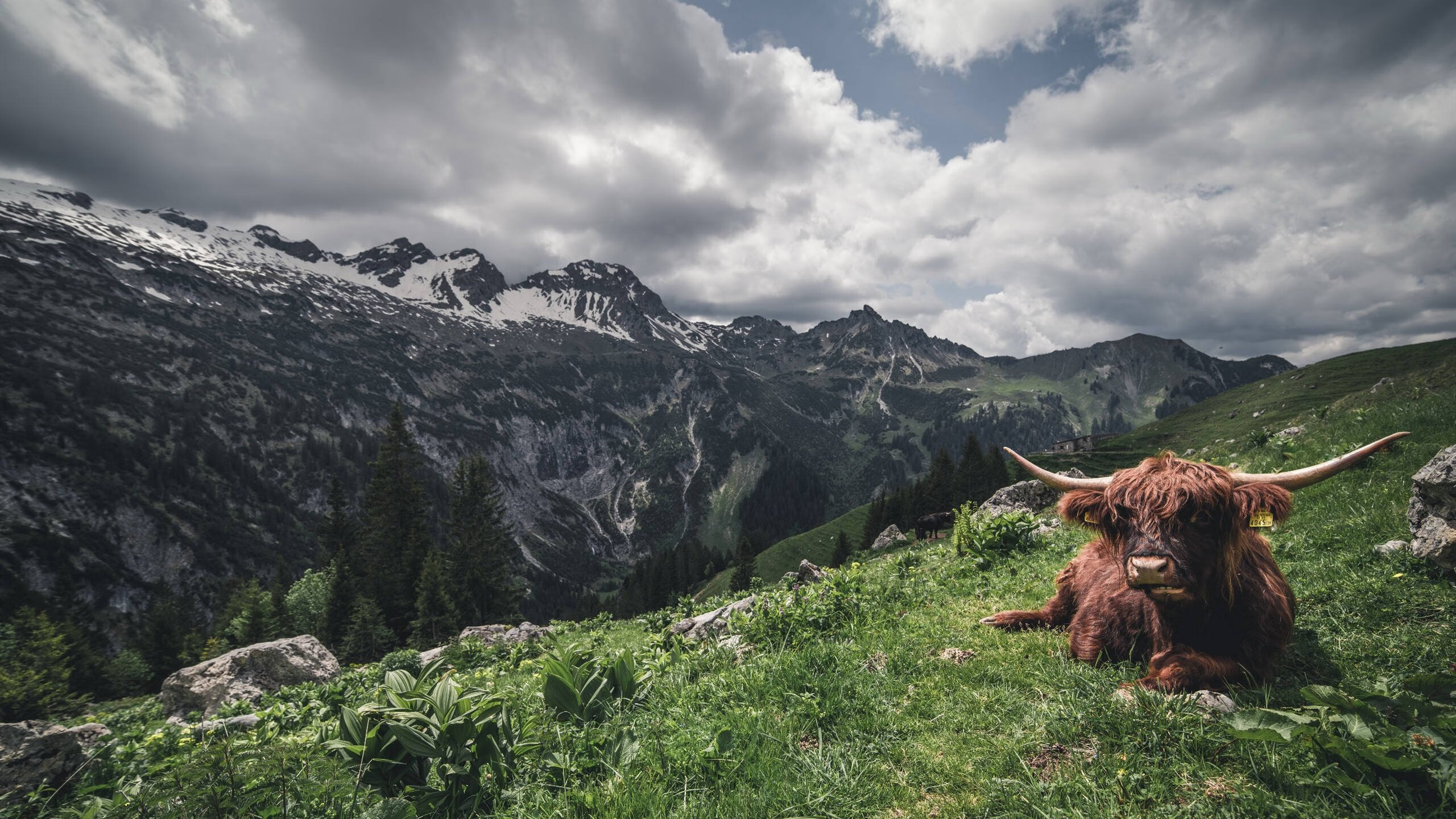 依托互联网平台,打造线上足球社区,线下足球