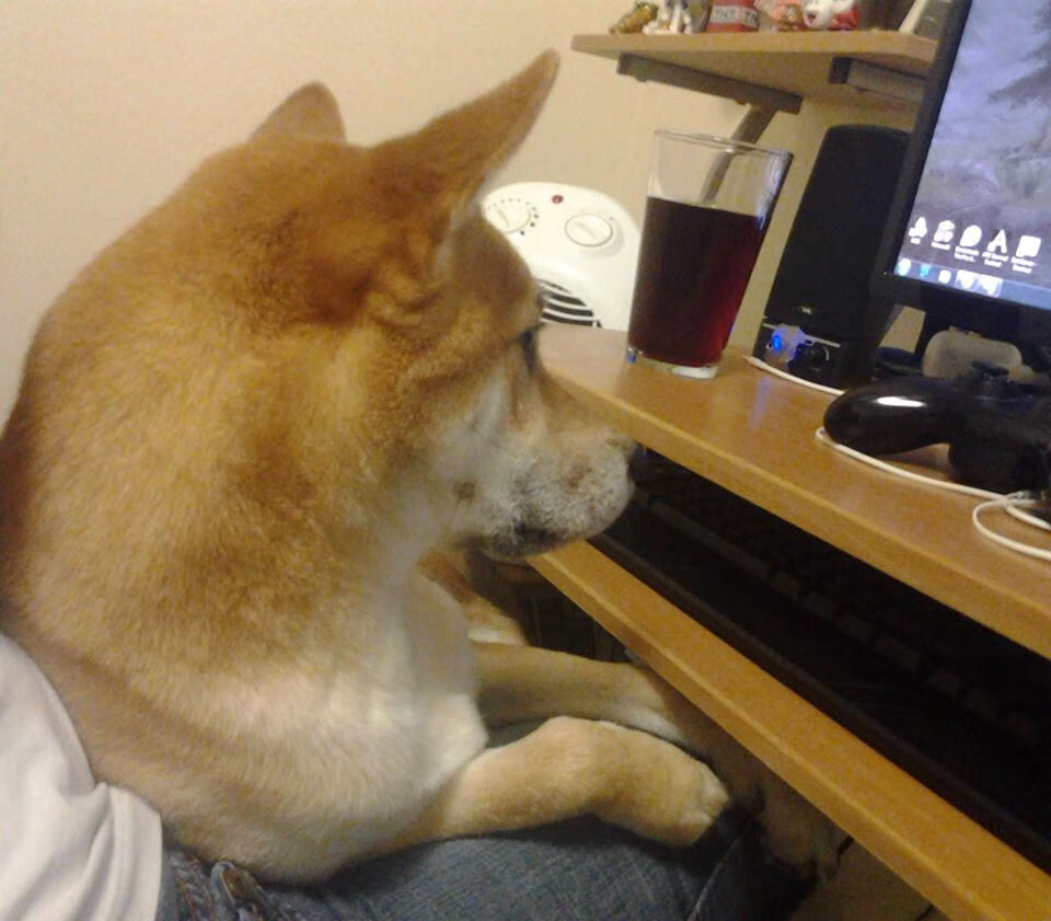 数字体育在青少年篮球培训中应用遍地开花,数字体育的意义